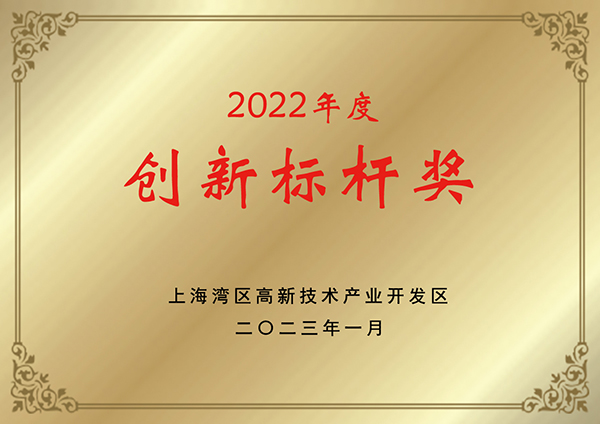 Innovation Benchmark Award